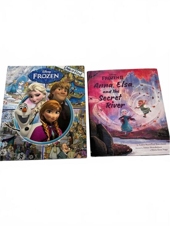 Disney Other - Disney Frozen Hardcover Picture Books Lot Look and Find & Secret River 2 Books